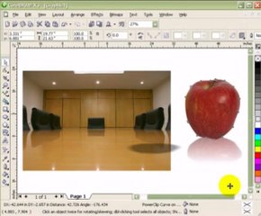 Image Reflection in CorelDraw