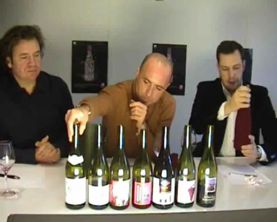 Beaujolais nouveau 2010 : les meilleurs vins en vidéo