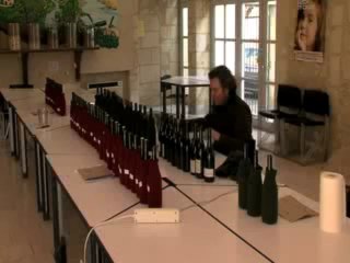Vins de Bourgueil 2010