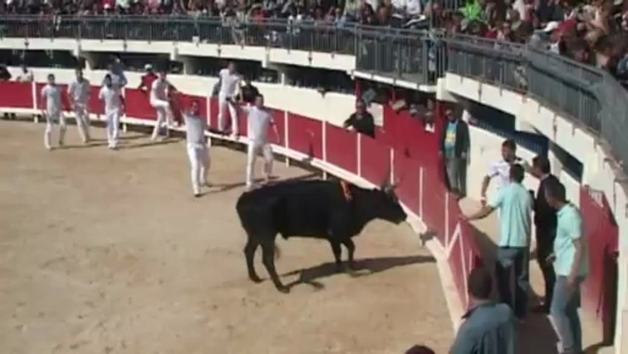 CC Grau du Roi 26052013