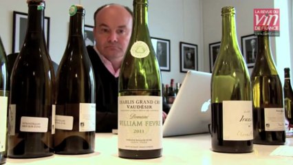 Vin de Bourgogne : coup de coeur pour le Vaudésir de William Fèvre