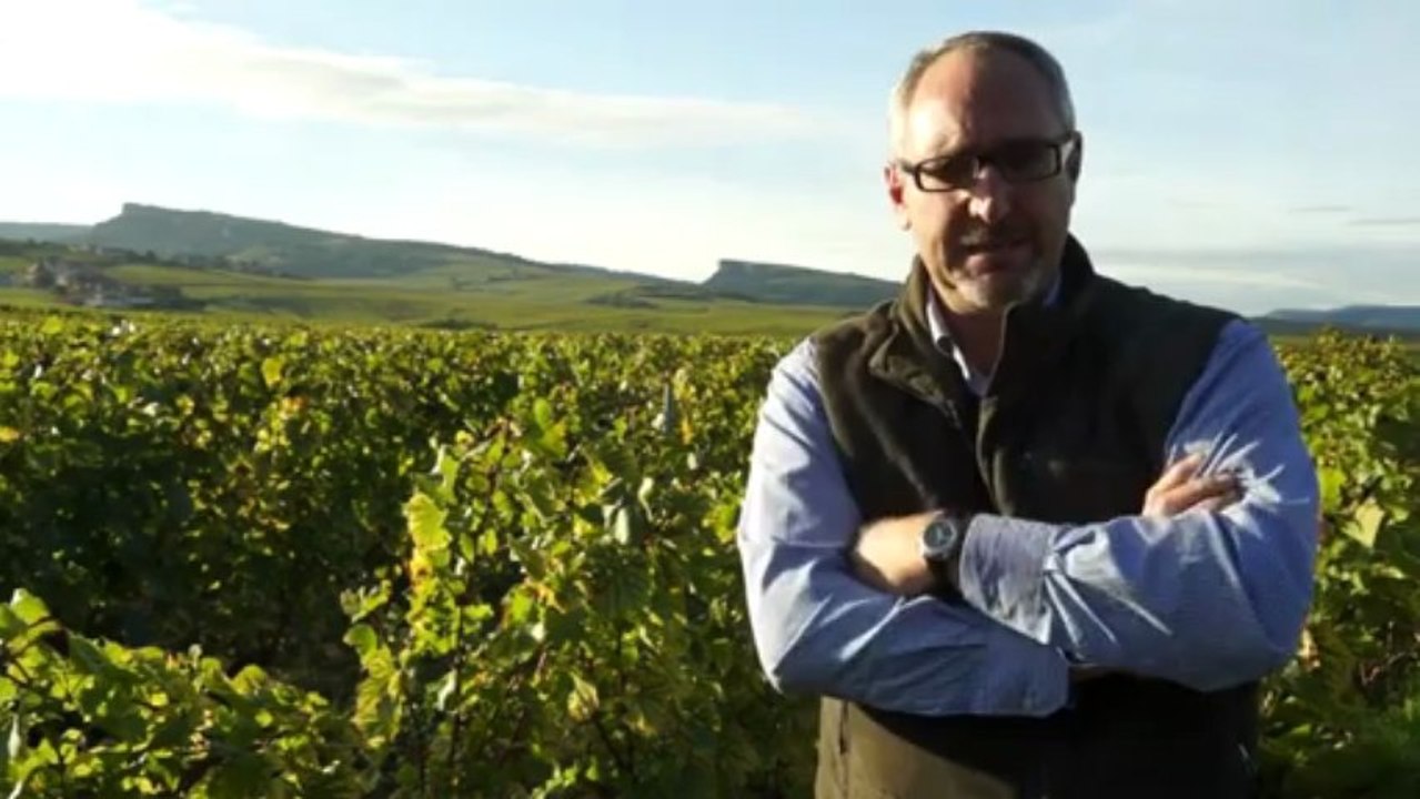 Vins de Bourgogne : le Mâconnais veut réparer "une injustice" historique