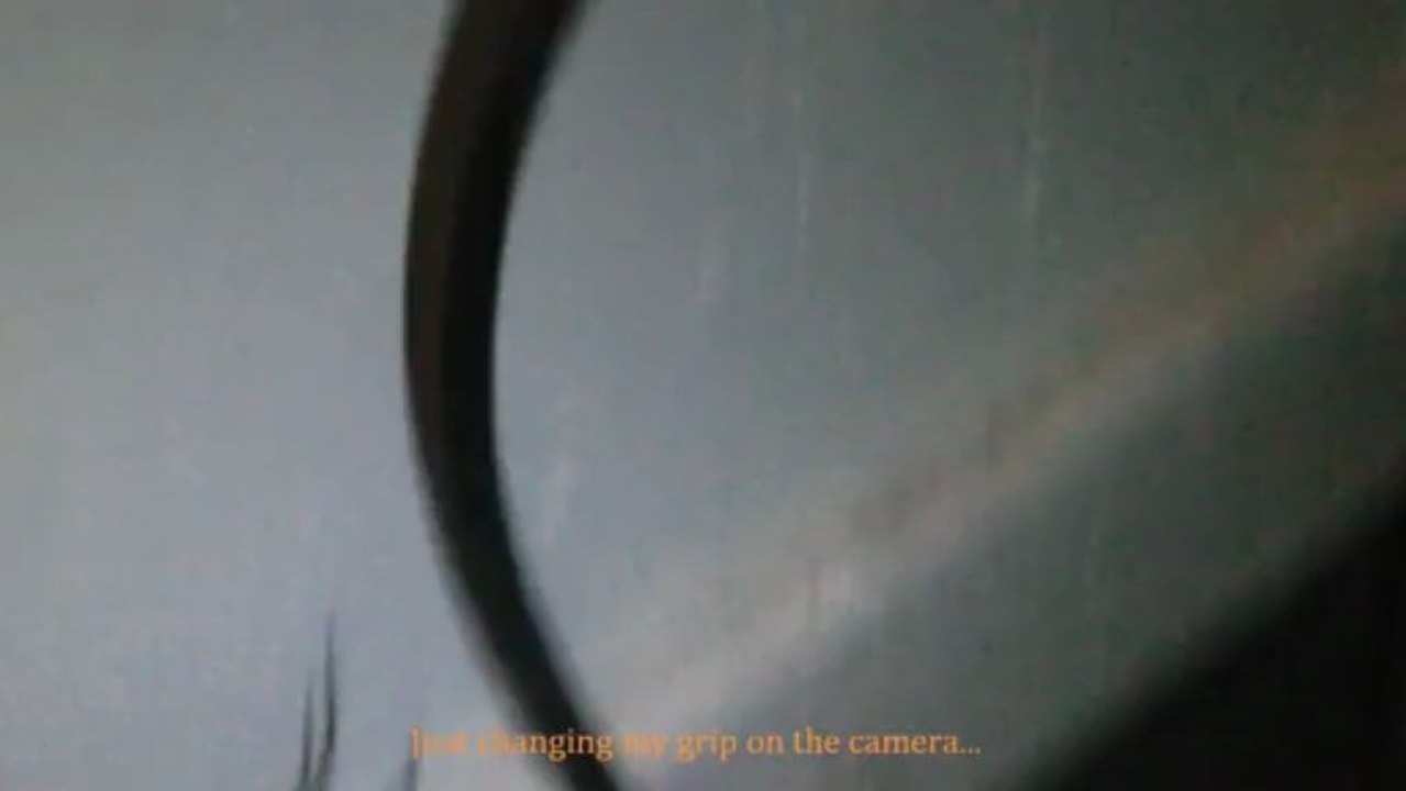 A rather large spider