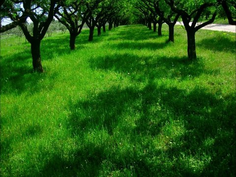 La voyelle [u] : Chanson - Jacques Prévert