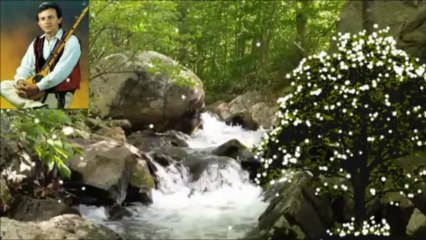 Shaqir Carvadiku - Toka dridhet deti po gjemon