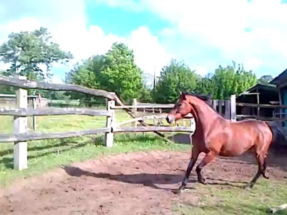 VID-20130528-00000