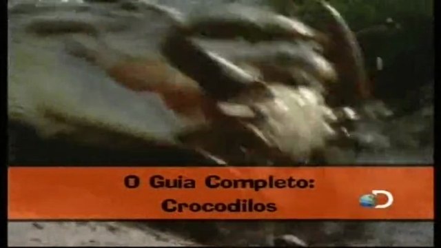 Discovery na Escola - Guia Completo: Crocodilos e Cobras [Discovery Channel]