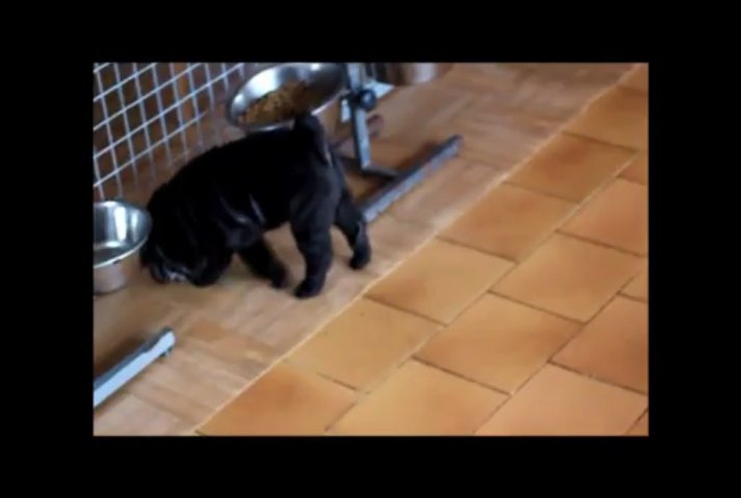 Bébé Gimme & Bébé Indy