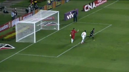 Ammazza che papera, Rogerio Ceni!