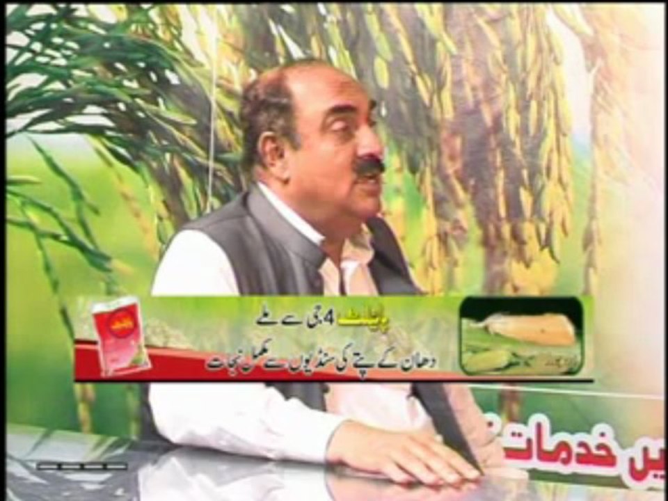 Zari Pandal with Saghir Ramay on Free Trade Policy & Most Favourite Nation India Part 03