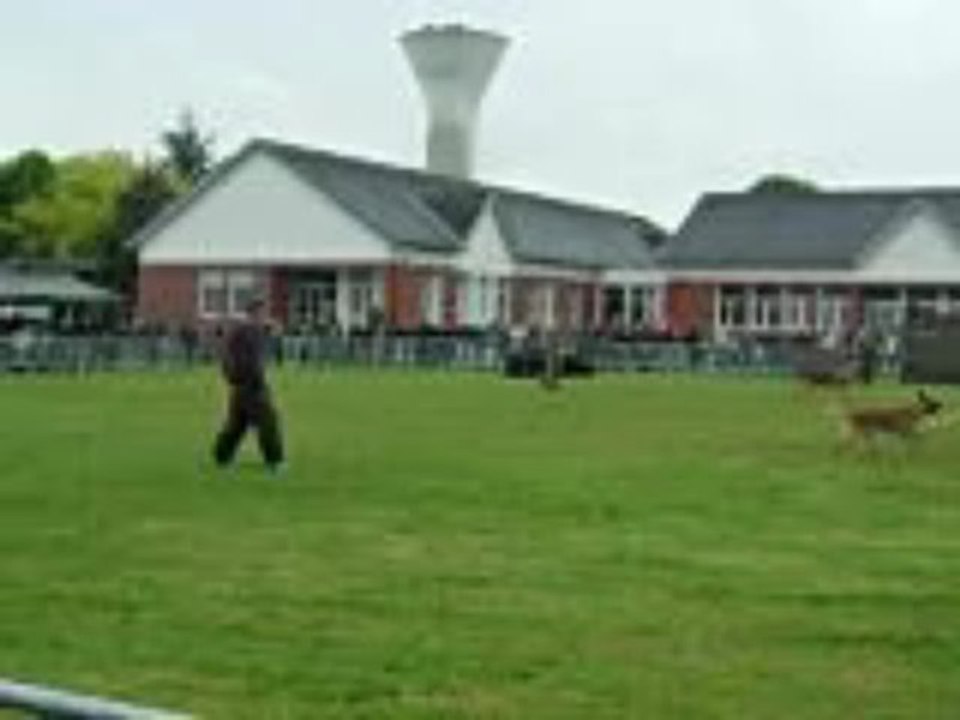 J.P.O 132°BCAT 26.05.2013