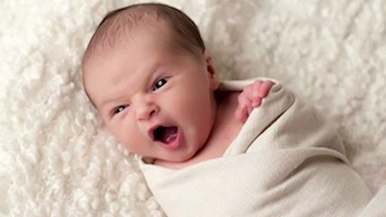 The Angriest Babies In The Whole World - compilation