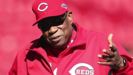 Major League Baseball Manager Wants NHL- Style Fighting in Games