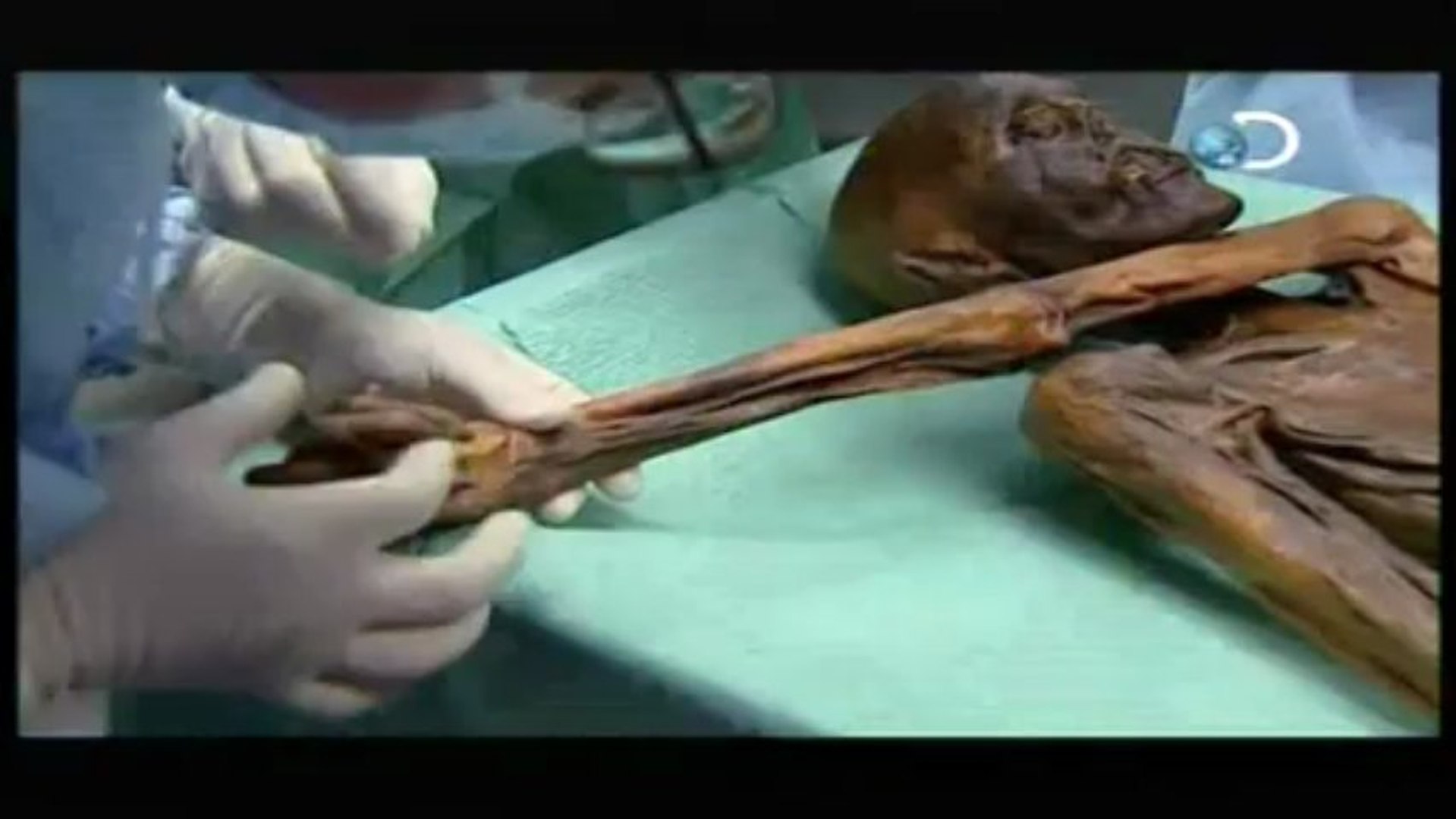 Discovery na Escola - Otzi, o Homem do Gelo [Discovery Channel]