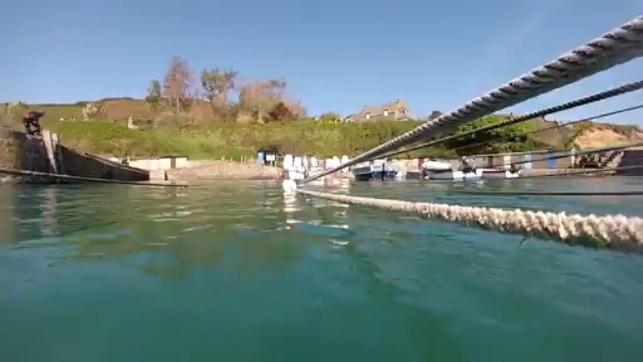 Une petite plongée à Port-Racine