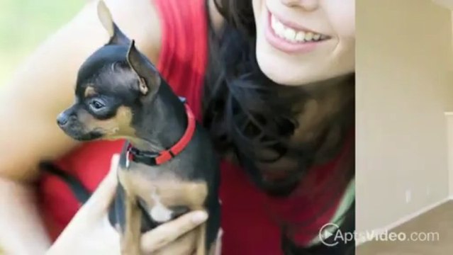 Pacific View Apartments in Long Beach, CA - ForRent.com