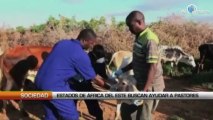 Estados de África del Este buscan ayudar a la ganadería