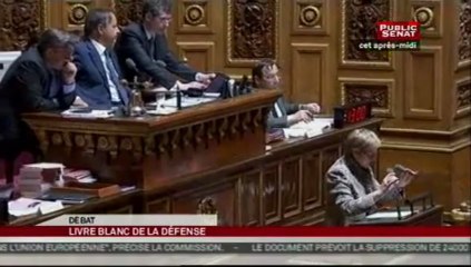 SEANCE,Déclaration du gouvernement et débat sur le livre blanc de la défense