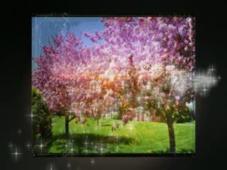 Branislav Mandic i Sekstet Dusana Radetica - Uz polje ide devojka