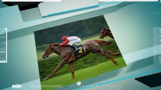 Amazing Animal Books - Facts About Horses