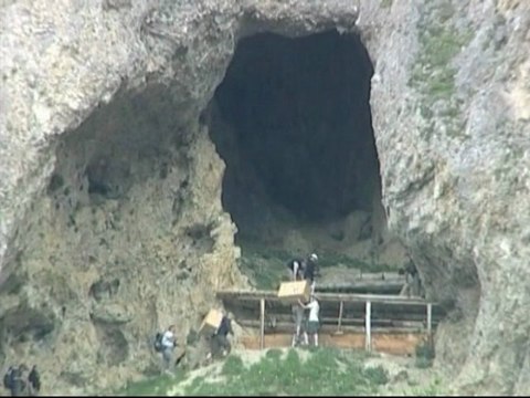 Lâcher de gypaètes barbus dans le parc du Mercantour