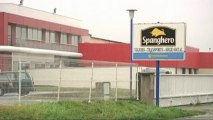 Horse meat scandal plant to close