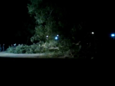 Derrubada de Árvores - Fortunati - 2013 - Copa do Mundo - Fórmula Indy - Gasômetro