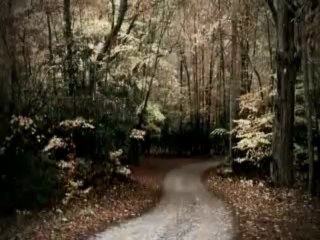 Duet Milosevic Aleksic - Samo je jedan