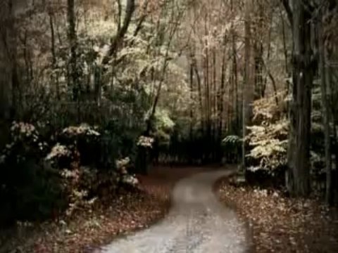 Duet Milosevic Aleksic - Samo je jedan