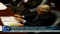 Senado de Uruguay respaldó elección presidencial venezolana