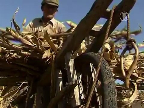 Китай: на фермерских землях будут строить города