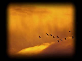 Branislav Mandic i Sekstet Dusana Radetica - Angelin devojce!