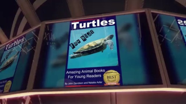 Amazing Animal Books - Facts About Horses