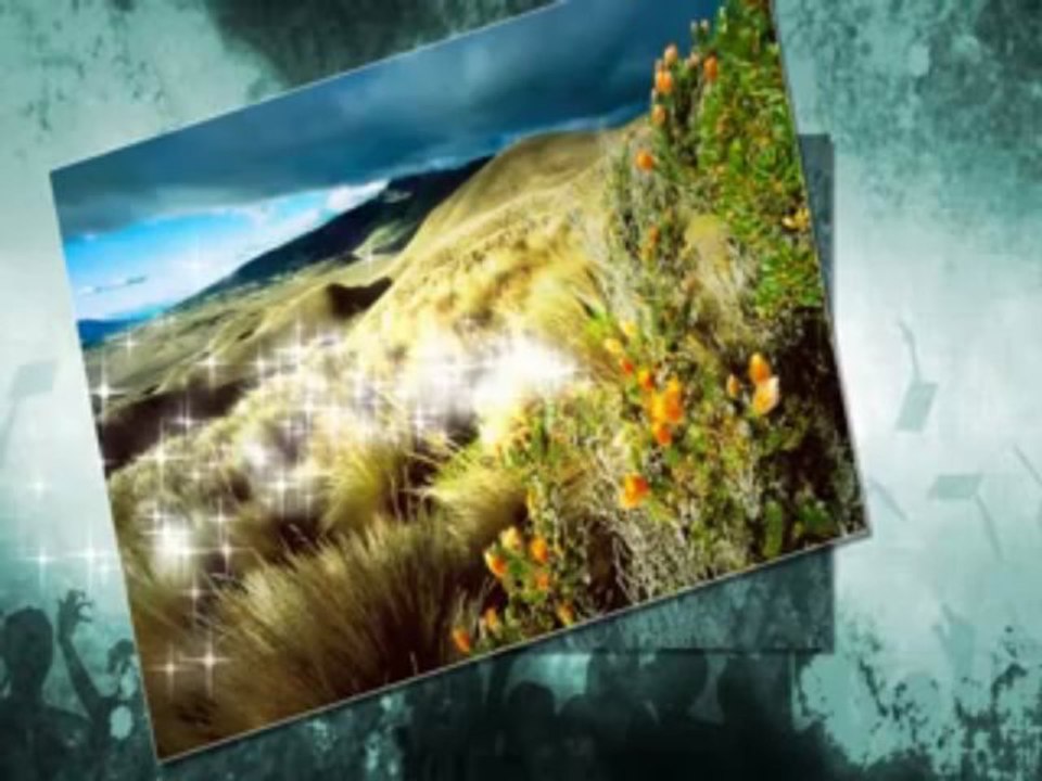 Duet Milosevic Aleksic i NO Zarka Milanovica - Dodji dragi dovece na prelo