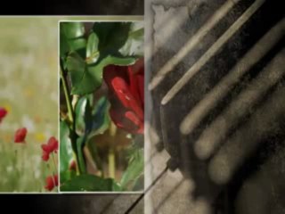 Ksenija Cicvaric i NO Zarka Milanovica - Sjever ruzu niz polje nijase