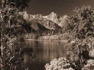 Branislav Mandic - Goro le, goro zelena!!