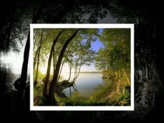 Jovan Milosevic - Tekla voda Tekelija