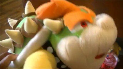 Black Yoshi  vs  Bowser