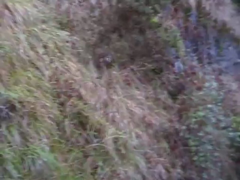 Viaje Gijon-Ferrol-Gijon 40 aniversario FF.CC Ferrol-Gijón A.A.FF.CC de Gijón (Sector Castropol-Ribadeo)