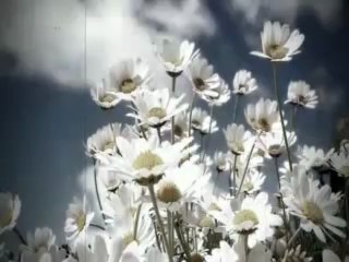 Gordana Runjajic i NO Carevac - Oj, livado, rosna  travo!