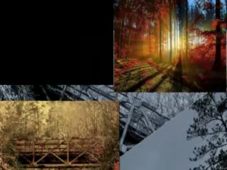 Ivanka Stefanovic - Sinoc ja i moja kona