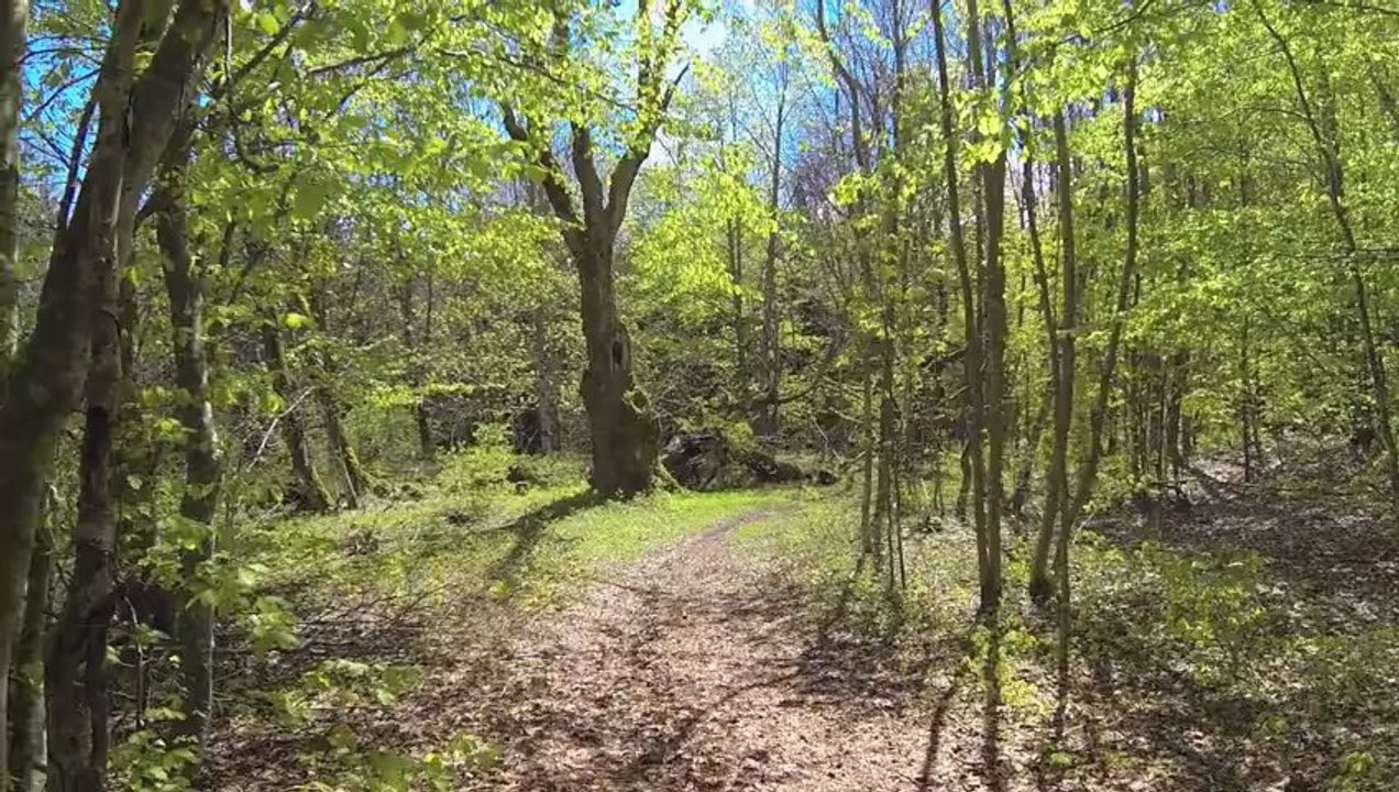 Ballade des Plans à Hotonnes 01260 FRANCE