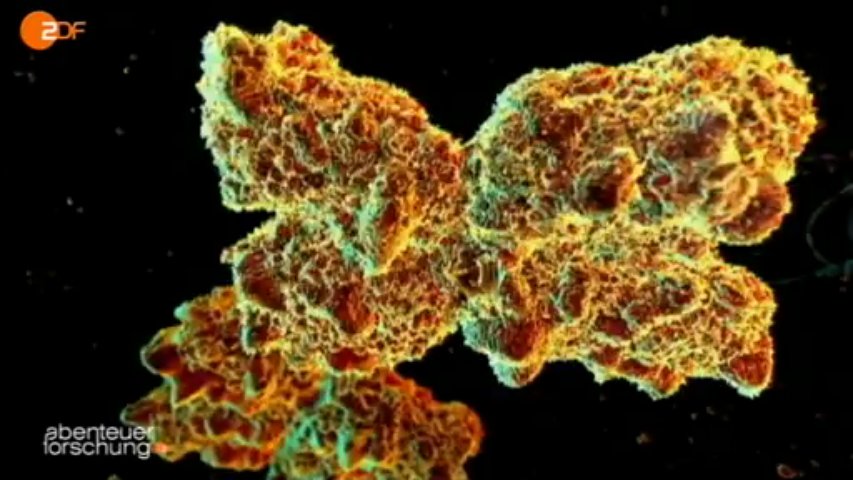 Abenteuer Forschung - ZDF