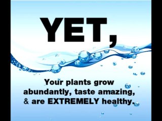 Build your own aquaponic aystem