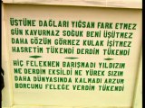 Taner Özdemir - Tükendim