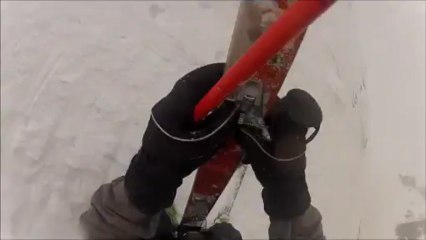 Arratille à la tartine de contrebasse