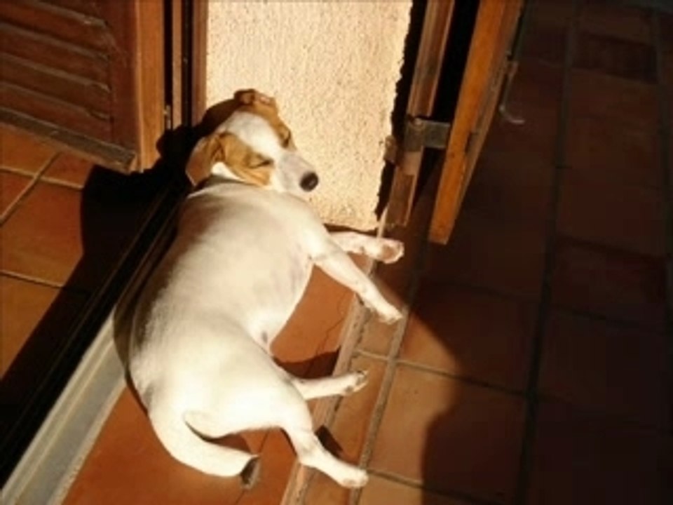 Journée Nini
