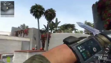 BLACK OPS 2 DOLPHIN DIVE BASKETBALL SHOT! [BO2 Basketball Easter Egg]