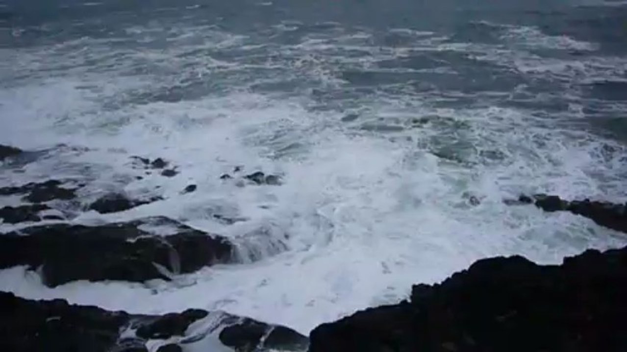 Pacific coast 1