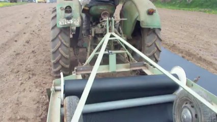 Déroulage bâche de paillage biodégradable pour oignons